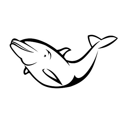 EPS 해외이미지 동물 바다 백그라운드 이동 일러스트 포유류 어류 미술 물 흰색 오브젝트 돌고래 클립 해외202004 해외일러스트 자연요소 컬러 컨셉 문화예술 수중동물 파일형식 벡터 이미지허브