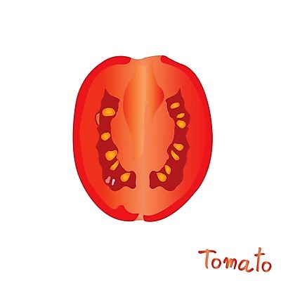 EPS 해외이미지 식물 1 음식 잎 농업 토마토 채소 오렌지 과일 일러스트 재료 자연 건강 그림자 요리 경사 빨간색 초록색 빛 농작물 컬러풀 농장 정원 샐러드 수확 신선 원형 체리 시장 이슬 큼 굽기 먹기 오브젝트 유기농 날것 배지 고립 숙성 식용 채식주의자 현실 해외202004 해외일러스트 도형 웰빙 산업 컬러 모션 크기 구이 생태계 채식 파일형식 벡터 이미지허브