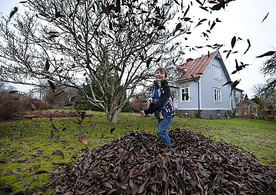 포토 JPG 해외이미지 어린이 잎 자연 놀이 주택 한명 소년 쌓기 정원 가을 흙더미 해외202004 해외포토 식물 1 계절 남자 모션 사람 건물 흙 생태계 파일형식 더미 이미지허브