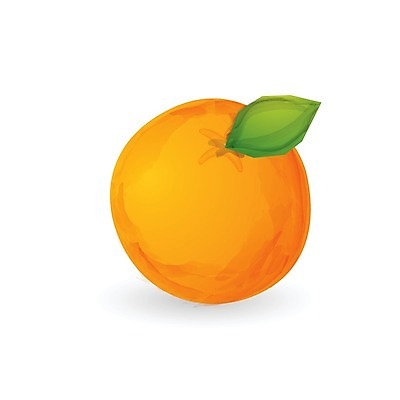 EPS 해외이미지 오렌지 일러스트 사람없음 주황색 해외202004 해외일러스트 컬러 과일 파일형식 벡터 이미지허브