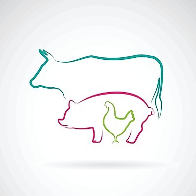 EPS 해외이미지 동물 손 실루엣 음식 일러스트 자연 육류 돼지고기 빨간색 파란색 세트 농장 라벨 치킨 가축 소고기 수확 토끼 신선 돼지 소 수집 문신 심볼 사인 그림 윤곽 배지 제비 수탉 고립 동물상 마스코트 암탉 엘리먼트 정육점 해외202004 해외일러스트 컬러 농업 식재료 포유류 조류 프레임 촬영기법 신체부위 반려동물 조형물 상점 닭 암컷 수컷 생태계 닭고기요리 파일형식 벡터 이미지허브