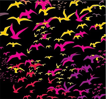 EPS 해외이미지 모양 동물 계절 실루엣 야생동물 날개 일러스트 가족 자연 갈매기 조류 하늘 휴가 휴식 종류 그림자 야외 여름 세트 자유 그리기 그룹 공작 숲 왜가리 문신 심볼 깃털 비둘기 앵무새 윤곽 독수리 철사 까마귀 해외202004 해외일러스트 컨셉 관계 모션 촬영기법 생태계 파일형식 벡터 이미지허브