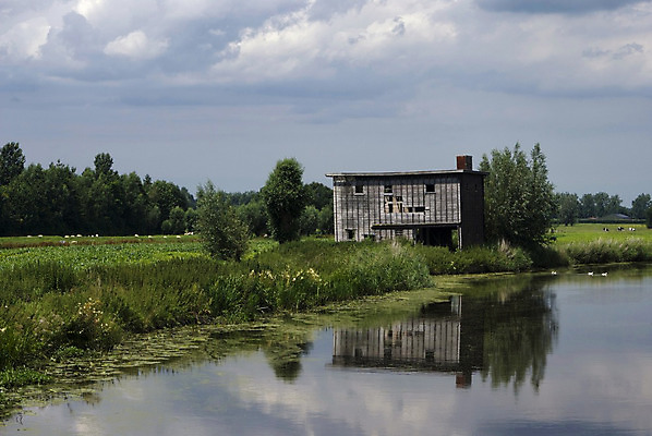포토 JPG 해외이미지 나무 구름 자연 풍경 사람없음 초록색 물 강 반사 시골 소 황폐 함선 헛간 파멸 목가 해외202004 해외포토 자연요소 식물 컬러 컨셉 배_교통 포유류 생태계 저장고 파일형식 소멸 이미지허브