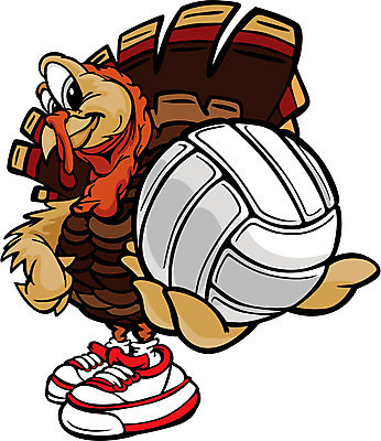 EPS 해외이미지 동물 스포츠 일러스트 공 조류 휴가 가을 배구 11월 만화 추수감사절 칠면조 해외202004 해외일러스트 계절 기독교 구기 날짜 파일형식 벡터 이미지허브