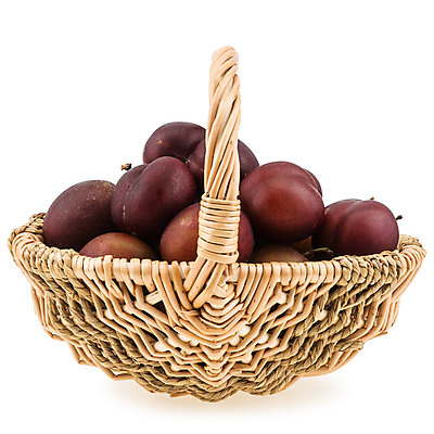 포토 JPG 해외이미지 음식 과일 디저트 건강 사람없음 목재 장식 초록색 파란색 농장 바구니 정원 보라색 젖음 수확 가을 신선 그룹 시장 닫기 과수원 제비꽃 오브젝트 사인 날것 패키지 자두 내추럴 숙성 채식주의자 핵심 많음 해외202004 해외포토 나무 계절 꽃 컬러 컨셉 농업 재료 모션 채식 파일형식 이미지허브