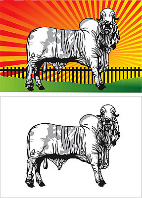 EPS 해외이미지 동물 실루엣 일러스트 미술 농장 검은색 소 황소 윤곽 해외202004 해외일러스트 컬러 농업 포유류 문화예술 촬영기법 파일형식 벡터 이미지허브