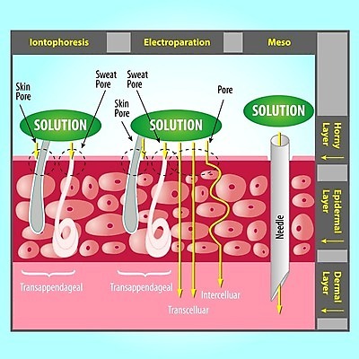 EPS 해외이미지 모델 직업 신체 일러스트 세포 막대사탕 치료 약 기계 화장품 계획 질병 피부 함선 땀 시스템 층 외과 테라피 배수구 돌봄 리프팅 수소 셀룰라이트 스타일 해외202004 해외일러스트 컨셉 배_교통 의학 모션 병원 사탕 신체부위 뷰티 원소 파일형식 벡터 이미지허브