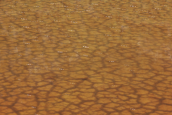 포토 JPG 해외이미지 호수 백그라운드 자연 건조 풍경 사람없음 물 반사 환경 맑음 흙 봄 땅 홍수 내추럴 해외202004 해외포토 자연요소 계절 날씨 자연재해 생태계 파일형식 이미지허브