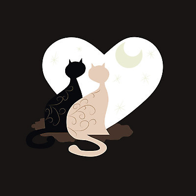EPS 해외이미지 모양 동물 디자인 커플 실루엣 별 백그라운드 2 일러스트 하늘 함께함 발렌타인데이 사랑 미술 빛 반려동물 반사 검은색 고양이 어둠 별자리 회색 달 흰색 하트 쌍 야간 큼 만화 꼬리 해외202004 해외일러스트 자연요소 감정 컬러 컨셉 포유류 관계 데이이벤트 문화예술 촬영기법 크기 파일형식 벡터 이미지허브