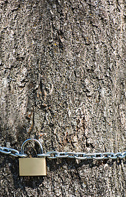 포토 JPG 해외이미지 나무 디자인 백그라운드 자연 추상 자물쇠 사람없음 목재 갈색 노란색 금속 황금 닫기 철 묘사 질감 잠금 놋쇠 철강 해외202004 해외포토 식물 컬러 무늬 재료 모션 재질 생태계 보안 파일형식 이미지허브