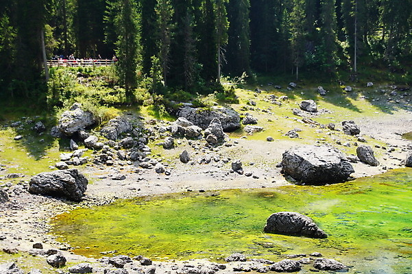 포토 JPG 해외이미지 응시 사람없음 먼지떨이 해외202004 해외포토 시선 청소도구 파일형식 이미지허브