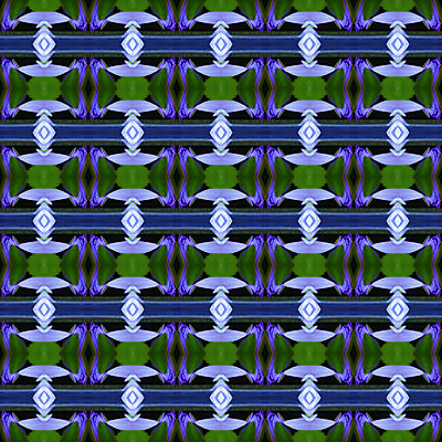 포토 JPG 해외이미지 식물 꽃잎 꽃 백그라운드 잎 패턴 자연 벽지 추상 연꽃 사랑 사람없음 컬러풀 노란색 벚꽃 내추럴 해외202004 해외포토 감정 컬러 무늬 생태계 파일형식 이미지허브