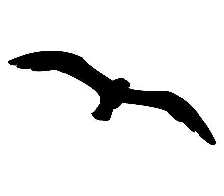 EPS 해외이미지 모양 바다 날개 일러스트 갈매기 조류 검은색 웹 심볼 오브젝트 사인 심플 고립 해외202004 해외일러스트 동물 컬러 인터넷 파일형식 벡터 이미지허브