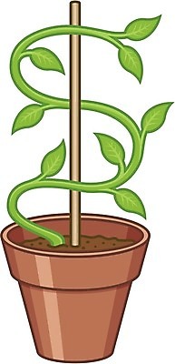 EPS 해외이미지 식물 잎 돈 일러스트 자연 초록색 금융 달러 흙 냄비 투자 먼지 생태학 경제학 해외202004 해외일러스트 교육 컬러 비즈니스 경제 재산 솥 생태계 파일형식 벡터 이미지허브