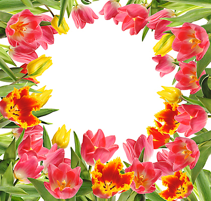 포토 JPG 해외이미지 식물 꽃잎 꽃 줄기 꽃다발 컨셉 꽃무늬 자연 휴가 부활절 기념 발렌타인데이 선물 사랑 미술 사람없음 장식 빨간색 초록색 컬러풀 정원 보라색 봄 튤립 벚꽃 흰색 인사 신선 신용카드 클래식 우아함 다발 배열 꽃집 묘사 내추럴 고립 해외202004 해외포토 계절 기념일 감정 컬러 무늬 데이이벤트 문화예술 금융 상점 예절 생태계 파일형식 이미지허브