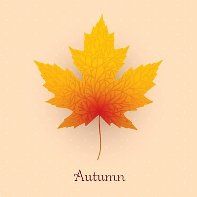 EPS 해외이미지 나무 리본 단풍 잎 일러스트 자연 사람없음 정원 가을 9월 오브젝트 현실 해외202004 해외일러스트 식물 계절 날짜 생태계 파일형식 벡터 이미지허브