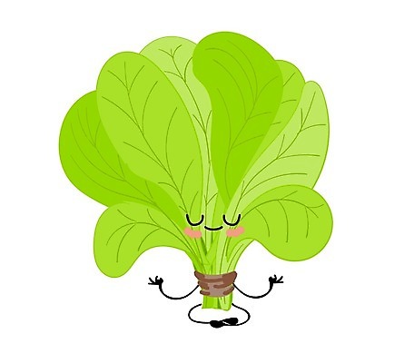 EPS 해외이미지 식물 캐릭터 행복 얼굴 어린이 음식 파도 컨셉 잎 다이어트 채소 일러스트 재료 건강 미소 그래픽 초록색 세트 신선 유머 상품 상추 만화 보디빌딩 수집 유기농 코믹 시금치 고립 단백질 마스코트 채식주의자 비건 해외202004 해외일러스트 일러캐릭터 웰빙 감정 바다 컬러 표정 사람 신체부위 헬스 채식 영양소 파일형식 벡터 이미지허브