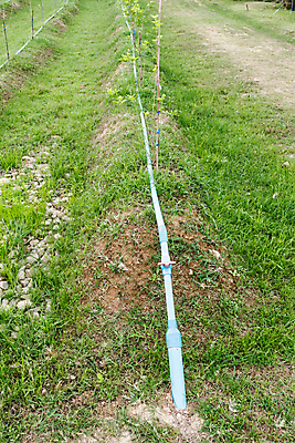 포토 JPG 해외이미지 식물 문화 밭 농업 채소 자연 사람없음 초록색 물 농작물 농장 정원 흙 봄 수확 성장 시골 신선 유기농 원예 내추럴 밭일 줄서기 해외202004 해외포토 자연요소 웰빙 계절 산업 컬러 모션 취미 생태계 파일형식 이미지허브