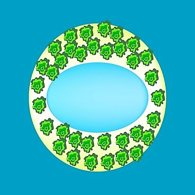 EPS 해외이미지 나무 모래 바다 섬 여행 백그라운드 지도 일러스트 자연 풍경 초록색 물 파란색 노란색 산호 숲 화산 영토 지형 분화구 석호 해외202004 해외일러스트 자연요소 식물 컬러 산 자포동물 생태계 파일형식 벡터 이미지허브