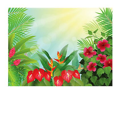 EPS 해외이미지 나무 식물 계절 꽃 야생동물 백그라운드 잎 일러스트 자연 아침 프레임 손바닥 풍경 야외 목재 초록색 여름 태양 환경 봄 숲 신비 열대우림 아이비 천국 내추럴 아마존 히비스커스 해외202004 해외일러스트 주간 자연요소 동물 손 컬러 컨셉 재료 생태계 파일형식 벡터 이미지허브