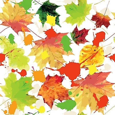 EPS 해외이미지 나무 백그라운드 단풍 잎 일러스트 자연 사람없음 야외 햇빛 어둠 가을 9월 닦기 해외202004 해외일러스트 식물 계절 모션 태양 날짜 생태계 파일형식 벡터 이미지허브