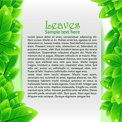 EPS 해외이미지 나무 식물 디자인 배너 공원 선 백그라운드 컨셉 잎 꽃무늬 패턴 일러스트 자연 추상 프레임 미술 장식 초록색 여름 숫자 노란색 라벨 환경 정원 봄 성장 신선 화려 우아함 허브 질감 서식 시트 내추럴 구성 생태학 해외202004 해외일러스트 문자 계절 공공시설 교육 꽃 컬러 무늬 문화예술 생태계 파일형식 벡터 이미지허브