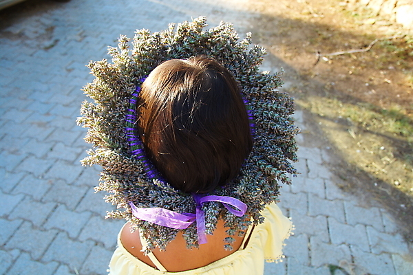 포토 JPG 해외이미지 식물 모델 꽃 리본 어린이 꽃다발 자연 엄마 왕관 선물 사람없음 장식 태양 정원 보라색 봄 프랑스 만 개화 뜨개질 향수 향신료 보따리 향기 냄새 향 라벤더 칠면조 흙더미 수공예 파우치 핸드메이드 해외202004 해외포토 자연요소 계절 유럽 컬러 가방 가족 조류 사람 취미 흙 화장품 공예 허브 생태계 향미료 파일형식 더미 이미지허브