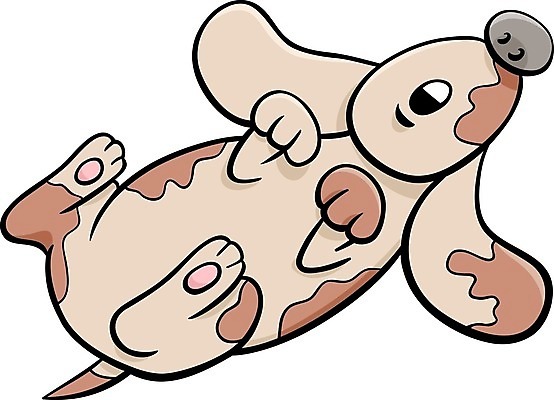 EPS 해외이미지 캐릭터 일러스트 사람없음 반려동물 눕기 갈색 귀여움 개 만화 해외일러스트 일러캐릭터 동물 컬러 컨셉 포유류 모션 파일형식 벡터 이미지허브