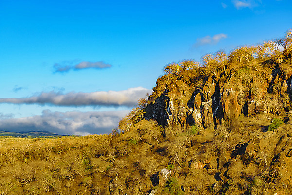 포토 JPG 해외이미지 계절 섬 여행 백그라운드 오렌지 자연 하늘 산 건조 풍경 사람없음 야외 파란색 환경 미국 숲 장면 암초 에콰도르 갈라파고스 남쪽 내추럴 해외202004 해외포토 컬러 북아메리카 과일 남아메리카 방향 생태계 파일형식 이미지허브