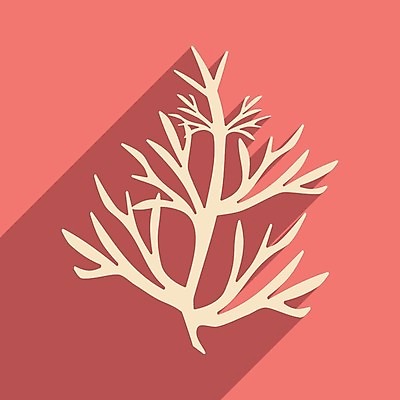 EPS 해외이미지 잎 일러스트 건강 그림자 사람없음 나뭇가지 유기농 아로마테라피 로즈메리 내추럴 채식주의자 프로방스 해외202004 해외일러스트 나무 식물 웰빙 허브 채식 테라피 파일형식 벡터 뷰티 이미지허브