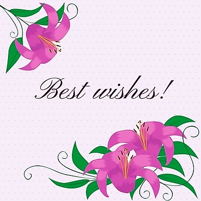 EPS 해외이미지 식물 디자인 기념일 꽃잎 꽃 꽃다발 결혼 백그라운드 꽃무늬 일러스트 벽지 프레임 미술 장식 여름 빛 라벨 보라색 봄 벚꽃 축하 신용카드 우아함 산호 백합 제비꽃 그림 엽서 초대 부드러움 라일락 구성 디테일 해외202004 해외일러스트 계절 컬러 컨셉 무늬 문화예술 이벤트 금융 감각 자포동물 편지 파일형식 벡터 이미지허브