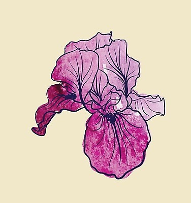 EPS 해외이미지 식물 디자인 계절 꽃잎 꽃 줄기 백그라운드 꽃무늬 패턴 일러스트 자연 잉크 미술 그래픽 장식 초록색 여름 펜 정원 봄 수확 직물 인사 우아함 인쇄 스케치 그림 질감 생물학 엽서 붓꽃 내추럴 엘리먼트 옛날 스타일 해외202004 해외일러스트 교육 컬러 컨셉 무늬 농업 문화예술 필기구 예절 편지 생태계 파일형식 벡터 산업 문구용품 오브젝트 이미지허브