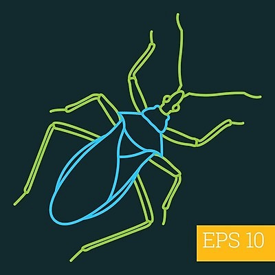 EPS 해외이미지 디자인 야생동물 선 곤충 절지류 일러스트 그래픽 픽토그램 주름 벌레 딱정벌레 심볼 오브젝트 사인 그림 심플 윤곽 고립 얇은 엘리먼트 해외202004 해외일러스트 동물 파일형식 벡터 이미지허브