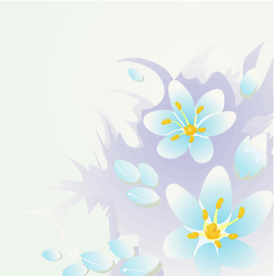 EPS 해외이미지 식물 디자인 꽃 잎 패턴 일러스트 프레임 미술 풍경 환경 신용카드 해외202004 해외일러스트 무늬 문화예술 금융 파일형식 벡터 이미지허브