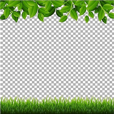 EPS 해외이미지 식물 배너 공원 포스터 백그라운드 잎 패턴 밭 일러스트 자연 벽지 놀이 추상 프레임 잔디 야외 목재 가로 초록색 여름 환경 축구 봄 활발 흰색 나뭇가지 신선 보호 허브 오브젝트 원예 질감 심플 내추럴 고립 해외202004 해외일러스트 나무 계절 공공시설 컬러 컨셉 무늬 농업 재료 취미 구기 생태계 파일형식 벡터 이미지허브