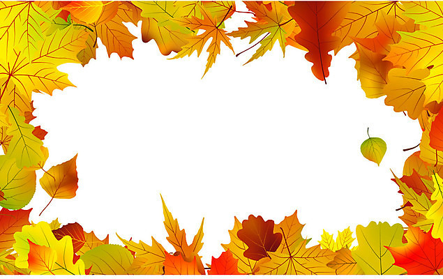 EPS 해외이미지 계절 줄기 백그라운드 단풍 잎 오렌지 일러스트 텍스트 자연 포도 추상 프레임 장식 빨간색 초록색 노란색 우주 할로윈 가을 흰색 축하 신용카드 떨어짐 9월 11월 배열 질감 10월 고립 앞머리 해외202004 해외일러스트 식물 헤어스타일 컬러 컨셉 무늬 과일 금융 날짜 생태계 파일형식 벡터 이미지허브