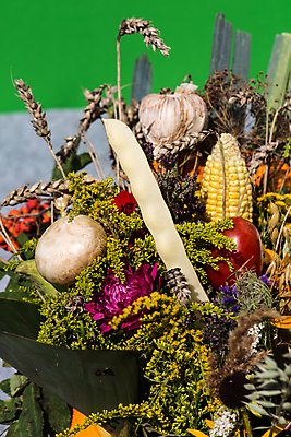 포토 JPG 해외이미지 식물 계절 꽃 꽃다발 백그라운드 오렌지 자연 콩 파프리카 국화 마늘 옥수수 이벤트 사람없음 장식 빨간색 초록색 여름 컬러풀 노란색 정원 수확 벚꽃 가을 신선 개화 다발 민트 허브 데이지 보리 도토리 양귀비 수국 엉겅퀴 구성 캐모마일 해외202004 해외포토 컬러 농업 채소 과일 곡류 견과류 생태계 파일형식 이미지허브