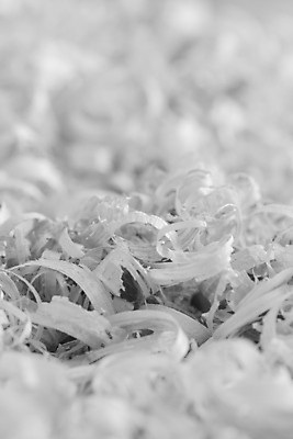 포토 JPG 해외이미지 나무 산업 조각 백그라운드 패턴 자연 추상 나선형 미술 사람없음 목재 빛 갈색 쌓기 장비 닫기 자르기 목수 질감 날것 먼지 목공예 잡동사니 그런지 부스러기 수목 얇은 톱밥 혼란 해외202004 해외포토 식물 직업 컬러 컨셉 무늬 재료 모션 문화예술 가루 공예 생태계 파일형식 이미지허브