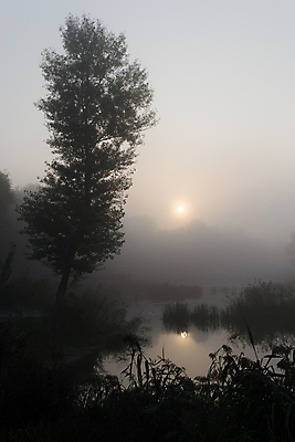 포토 JPG 해외이미지 나무 실루엣 호수 자연 아침 날씨 풍경 사람없음 야외 물 강 태양 일출 침묵 새벽 추위 안개 숲 신비 지역 해외202004 해외포토 주간 자연요소 식물 컨셉 촬영기법 노을 소리 생태계 파일형식 이미지허브