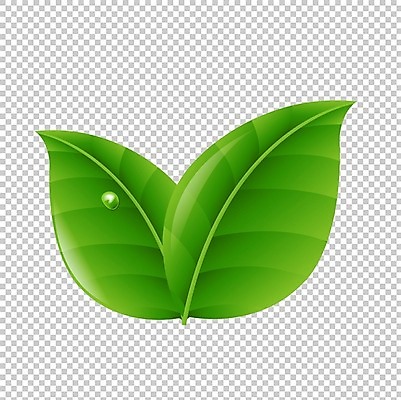 EPS 해외이미지 식물 디자인 컨셉 잎 일러스트 자연 미래 초록색 라벨 새싹 환경 재활용 에너지 물방울 신선 절약 보호 숲 허브 심볼 오브젝트 사인 에코 유기농 생태계 광택 산소 내추럴 고립 광합성 돌봄 바이오 생태학 이산화탄소 비건 해외202004 해외일러스트 웰빙 교육 컬러 모션 프레임 원소 친환경 채식주의자 파일형식 벡터 이미지허브