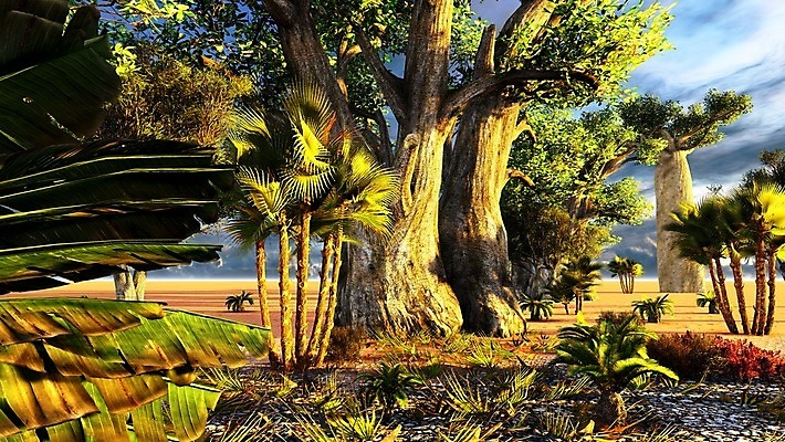 포토 JPG 해외이미지 식물 공원 아침 손바닥 사람없음 일출 일몰 새벽 사막 시골 뜨거움 황무지 티켓 숲 영토 예약 사바나 오지 평야 해외202004 해외포토 주간 자연요소 손 공공시설 자연 노을 파일형식 이미지허브