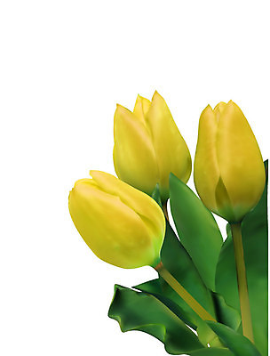 EPS 해외이미지 식물 배너 계절 기념일 꽃잎 꽃 줄기 꽃다발 잎 꽃무늬 오렌지 일러스트 자연 부활절 선물 장식 초록색 노란색 정원 봄 튤립 벚꽃 흰색 신선 신용카드 화려 선택 다발 심플 고립 해외202004 해외일러스트 컬러 컨셉 무늬 과일 이벤트 금융 생태계 파일형식 벡터 이미지허브