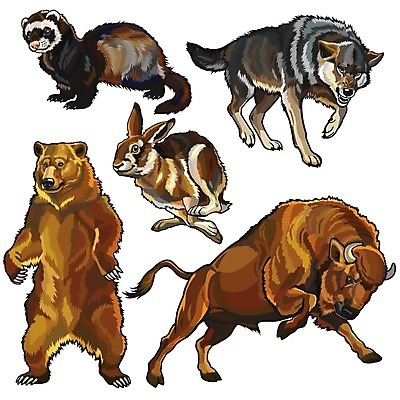 EPS 해외이미지 동물 척추동물 유럽 야생동물 일러스트 곰 포유류 자연 초식동물 생물 동물원 목재 세트 환경 힘 토끼 황무지 설치류 숲 들소 수집 대륙 흰배경 그림 육식동물 서식지 늑대 고립 동물상 수목 포식 해외202004 해외일러스트 나무 나라 백그라운드 재료 반려동물 조형물 흰색 소 생태계 파일형식 벡터 이미지허브