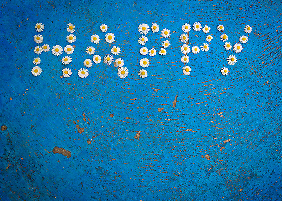 포토 JPG 해외이미지 캐릭터 알파벳 꽃 행복 감정 백그라운드 컨셉 텍스트 추상 타이포그라피 사람없음 파란색 단어 세트 노란색 봄 흰색 편지 심볼 데이지 타입 엘리먼트 해외202004 해외포토 식물 문자 영어 계절 컬러 무늬 파일형식 이미지허브