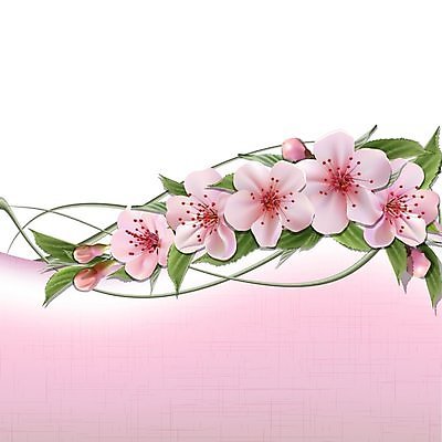 EPS 해외이미지 나무 식물 계절 공원 꽃잎 꽃 분홍색 백그라운드 일러스트 자연 하늘 부활절 야외 초록색 파란색 빛 햇빛 태양 정원 맑음 봄 벚꽃 흰색 나뭇가지 신선 개화 체리 원예 질감 정사각형 부드러움 내추럴 생태학 해외202004 해외일러스트 자연요소 도형 공공시설 교육 기념일 컬러 과일 날씨 취미 감각 생태계 파일형식 벡터 이미지허브