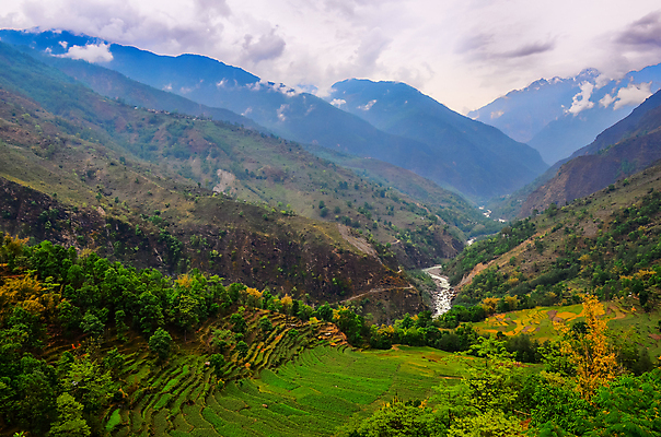 포토 JPG 해외이미지 나무 식물 전통 아시아 문화 음식 여행 백그라운드 패턴 농업 자연 밥 산 동양인 풍경 사람없음 초록색 여름 농작물 농장 노란색 마을 계곡 트래킹 수확 시골 숲 땅 언덕 질감 네팔 계단식 동쪽 산악지대 논밭 땅바닥 히말라야 해외202004 해외포토 계절 나라 산업 컬러 무늬 밭 레저 바닥 논 인종 방향 생태계 파일형식 산맥 이미지허브
