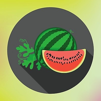 EPS 해외이미지 식물 디자인 열매 음식 조각 잎 과일 일러스트 수박 그래픽 초록색 줄무늬 플랫 심볼 오브젝트 사인 유기농 날것 슬라이스 고립 숙성 엘리먼트 비건 해외202004 해외일러스트 웰빙 컬러 무늬 채식주의자 파일형식 벡터 이미지허브