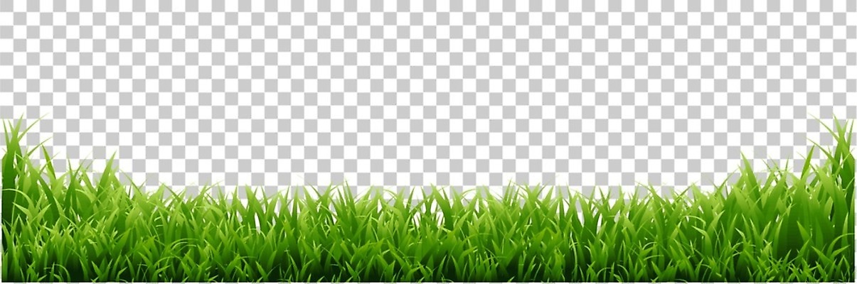 EPS 해외이미지 클립아트 모양 식물 디자인 계절 꽃 실루엣 백그라운드 잎 꽃무늬 밭 일러스트 프레임 잔디 가로 초록색 여름 세트 정원 봄 흰색 신용카드 말벌 땅 수집 허브 오브젝트 그림 에코 유기농 조경 내추럴 고립 생태학 엘리먼트 해외202004 해외일러스트 웰빙 교육 컬러 무늬 농업 촬영기법 금융 환경 벌_곤충 파일형식 벡터 이미지허브