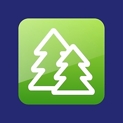 EPS 해외이미지 나무 디자인 계절 공원 크리스마스 겨울 일러스트 자연 야외 목재 나뭇가지 소나무 숲 심볼 상록수 침엽수 전나무 고립 엘리먼트 가문비나무 해외202004 해외일러스트 식물 공공시설 기념일 재료 생태계 파일형식 벡터 이미지허브