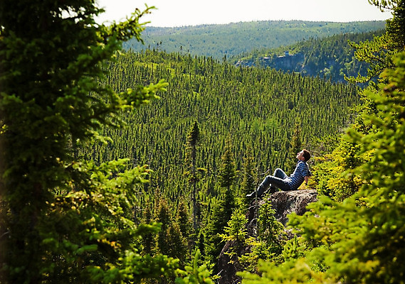 포토 JPG 해외이미지 나무 백인 1 계절 공원 남자 여행 자연 휴식 한명 사람 앉기 풍경 소년 성인 야외 목재 초록색 여름 파란색 여행객 맑음 놀람 봄 바위 시골 황무지 고독 선탠 숲 모험가 해외202004 해외포토 서양인 식물 공공시설 감정 어린이 컬러 컨셉 재료 모션 날씨 표정 돌_바위 생태계 파일형식 이미지허브